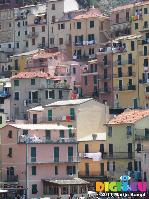 SX19611 Houses on hillside Manarola, Cinque Terre, Italy